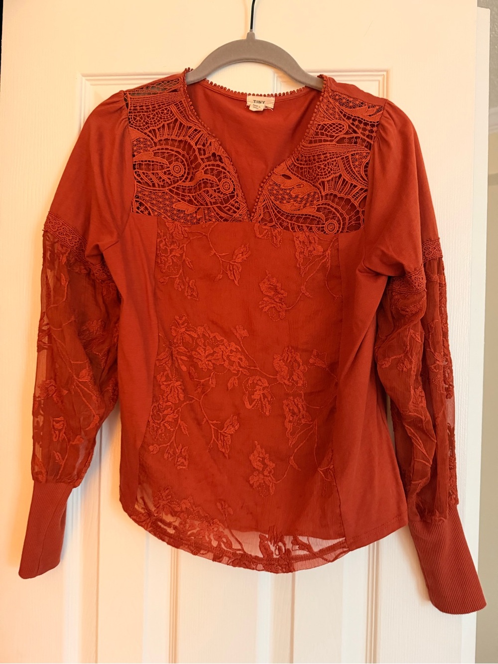Embroidered Long-Sleeve Ribbed Cuff Top in Rust - Picture 4 of 6